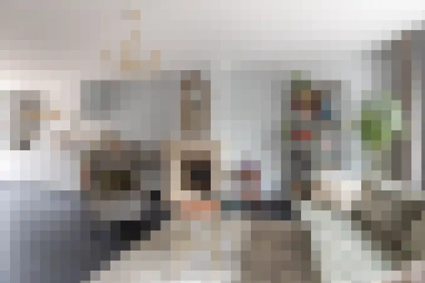 Hoeverkade 4 Alkmaar thumbnail 6