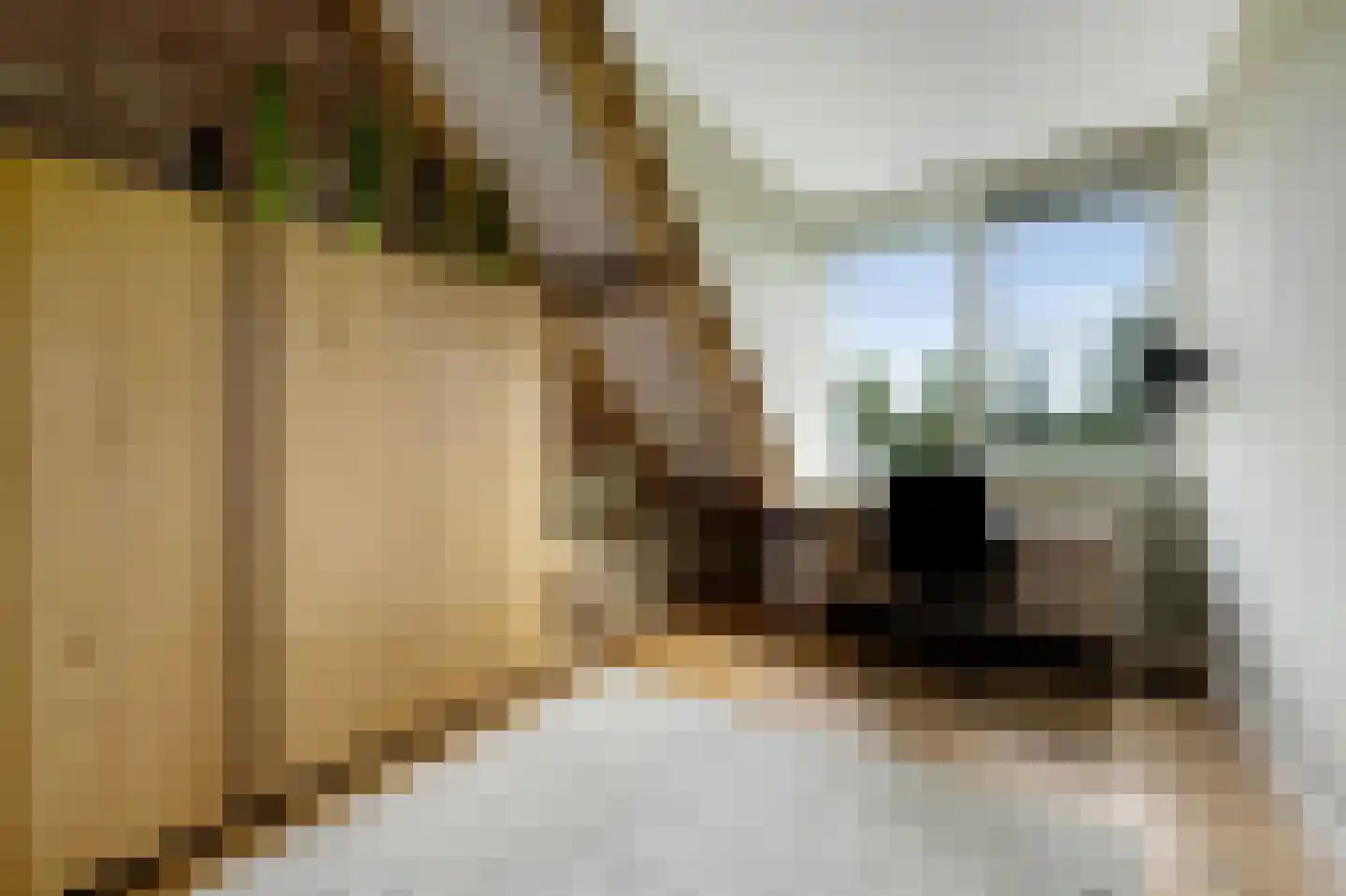 Hoeverstraat 23 Westerhoven thumbnail 36