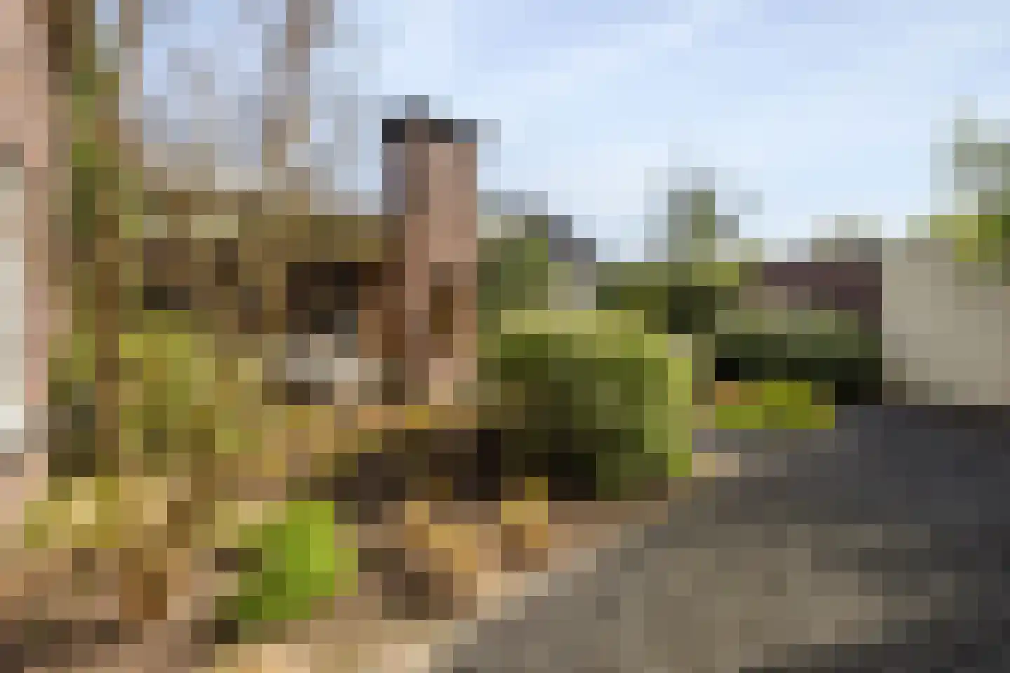 Hoeverstraat 23 Westerhoven thumbnail 61