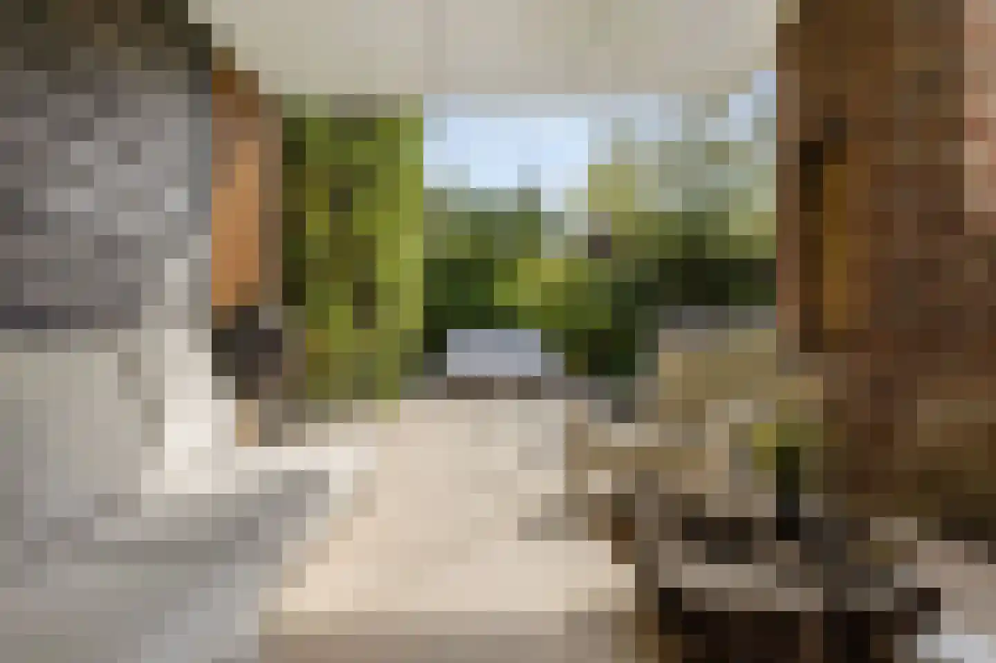 Hoeverstraat 23 Westerhoven thumbnail 62