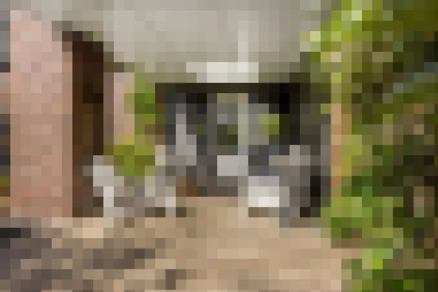 Hoeverstraat 23 Westerhoven thumbnail 63