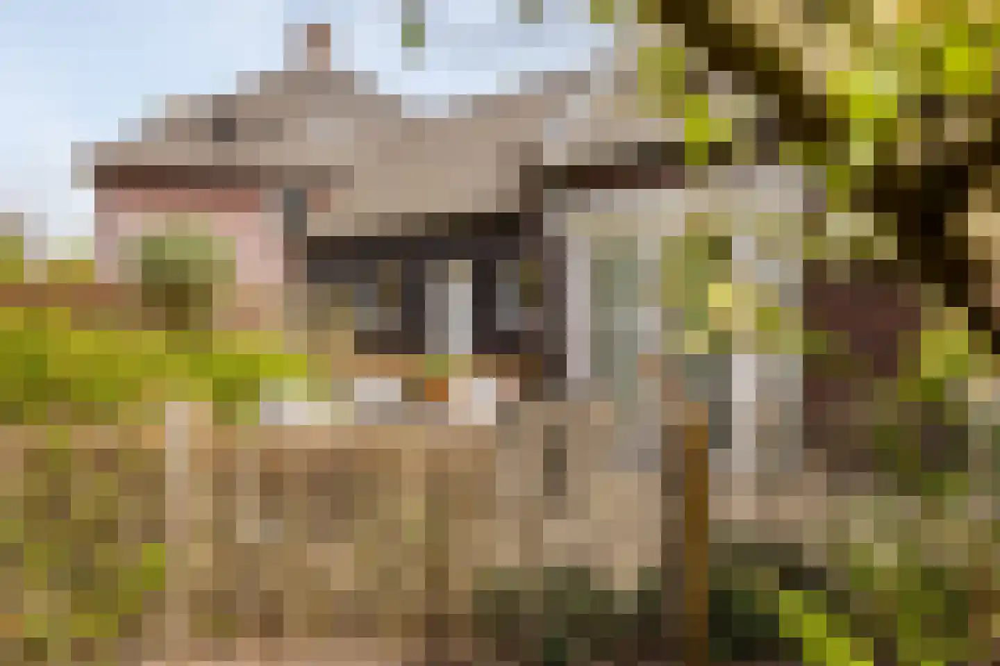 Hoeverstraat 23 Westerhoven thumbnail 69