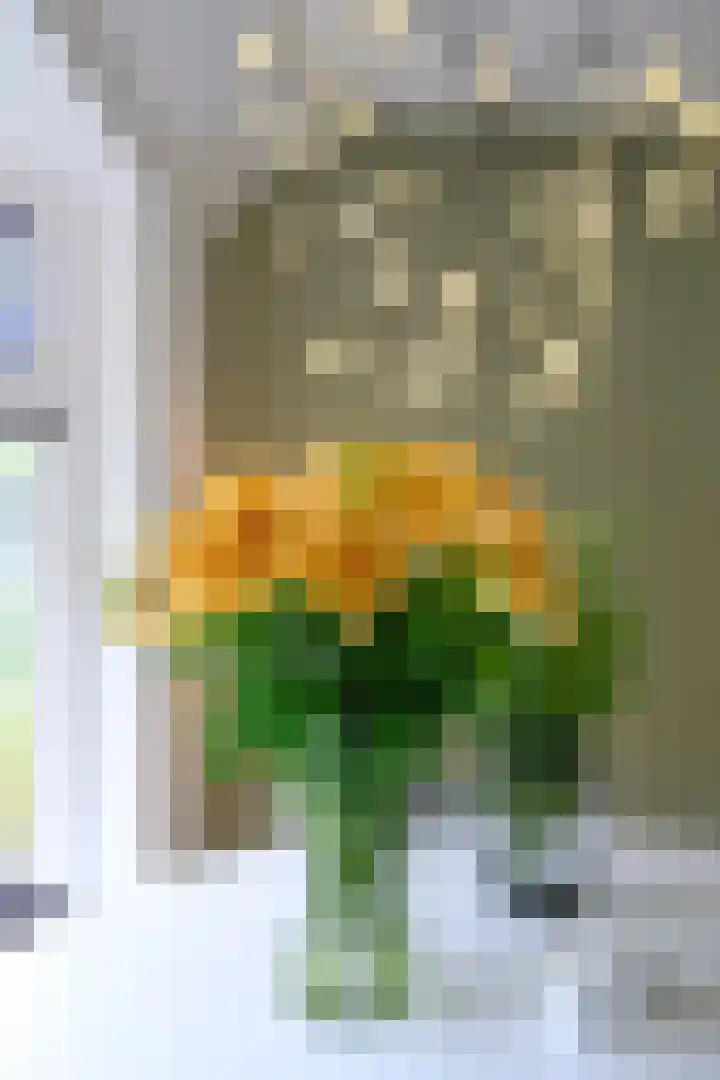 Hoevesteeg 31 Tonden thumbnail 13