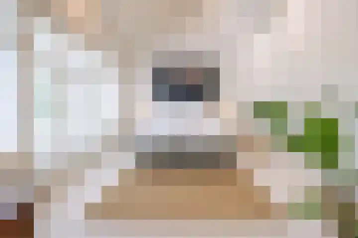 Hoevesteeg 31 Tonden thumbnail 18