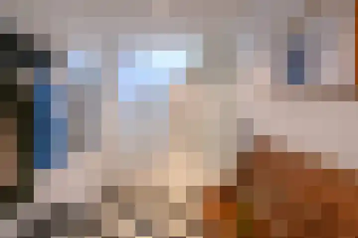 Hoevesteeg 31 Tonden thumbnail 22