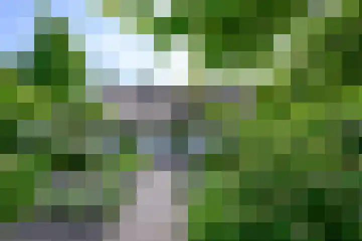 Hoevesteeg 31 Tonden thumbnail 31