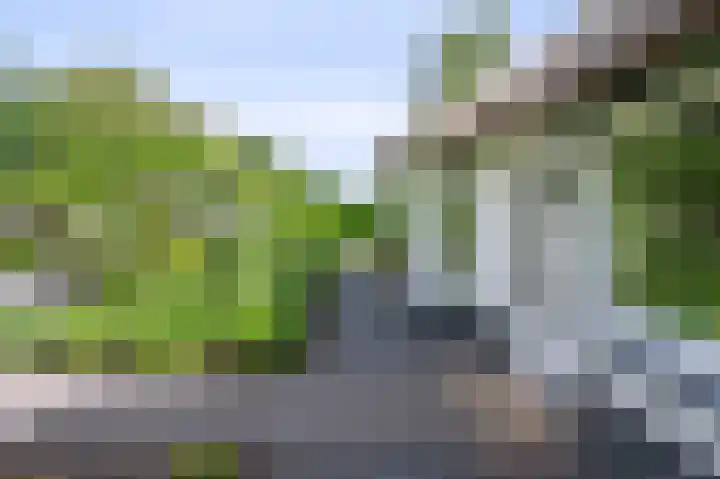 Hoevesteeg 31 Tonden thumbnail 33
