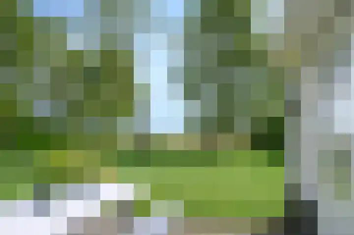 Hoevesteeg 31 Tonden thumbnail 37