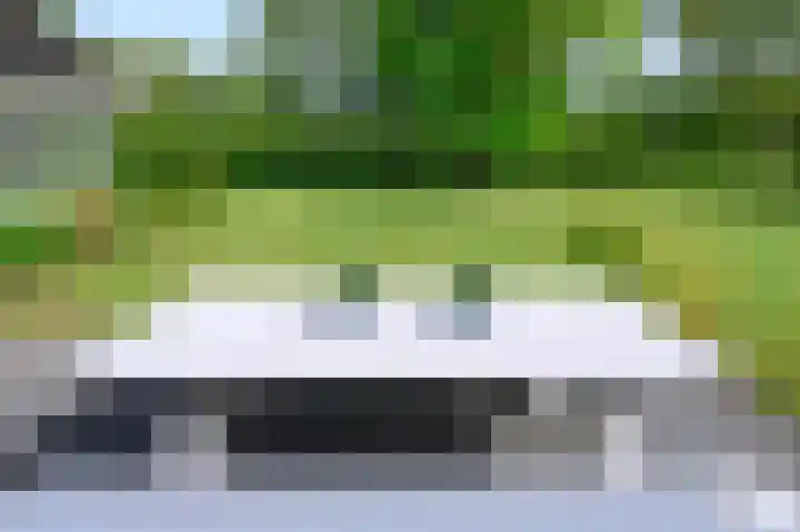 Hoevesteeg 31 Tonden thumbnail 38