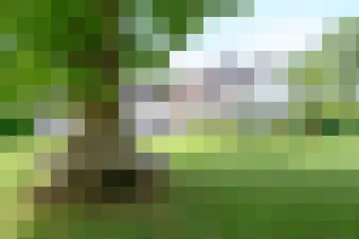 Hoevesteeg 31 Tonden thumbnail 39