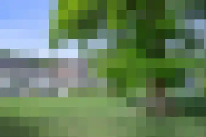 Hoevesteeg 31 Tonden thumbnail 4