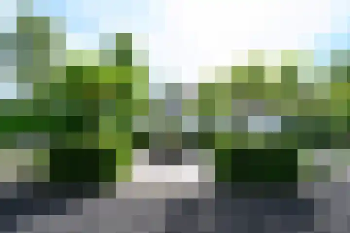 Hoevesteeg 31 Tonden thumbnail 43