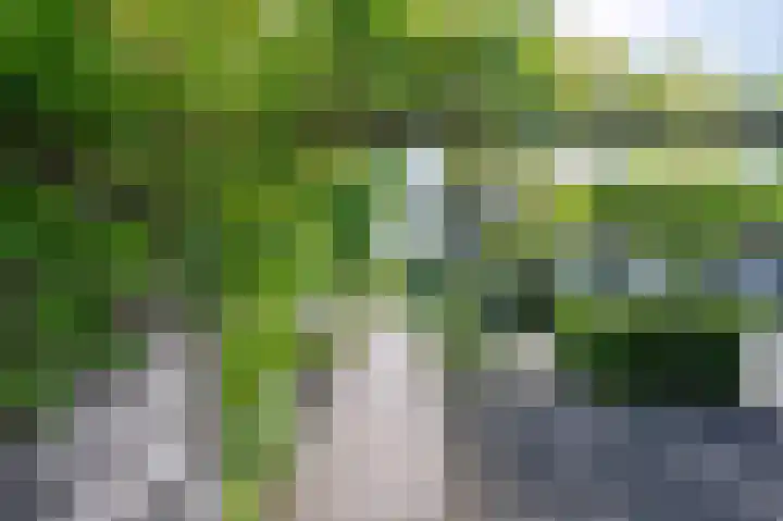 Hoevesteeg 31 Tonden thumbnail 47