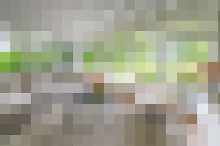 Hoevesteeg 31 Tonden thumbnail 5