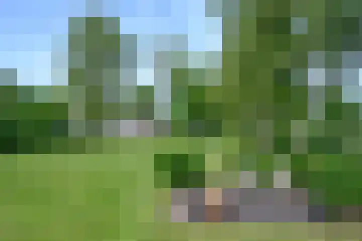 Hoevesteeg 31 Tonden thumbnail 50