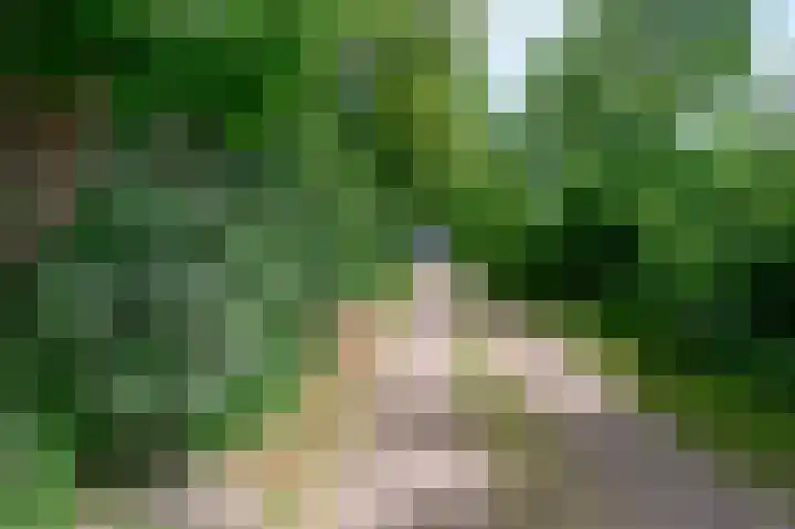 Hoevesteeg 31 Tonden thumbnail 52