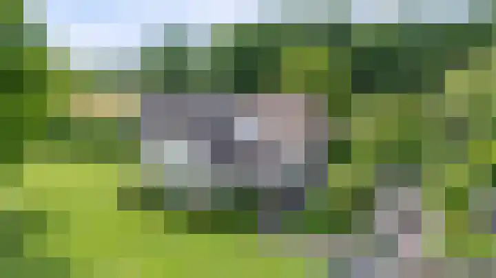 Hoevesteeg 31 Tonden thumbnail 53