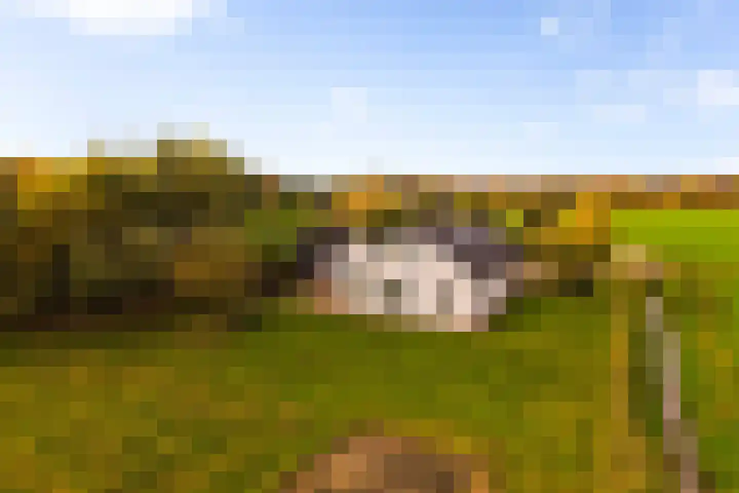 Hoevesteeg 34 Tonden thumbnail 4