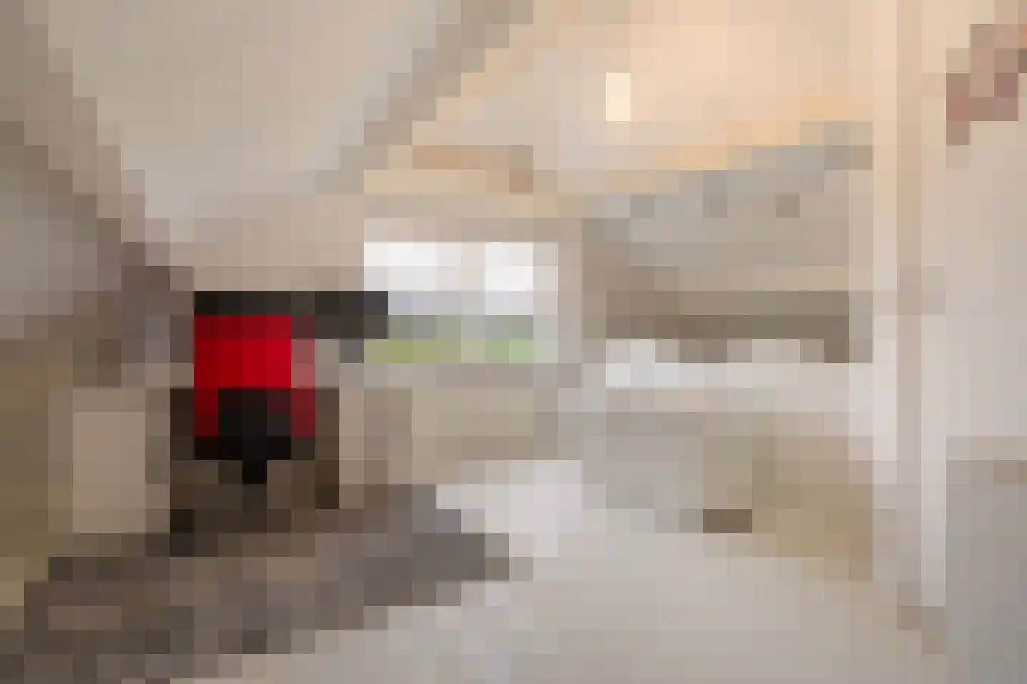 Hoevesteeg 34 Tonden thumbnail 43