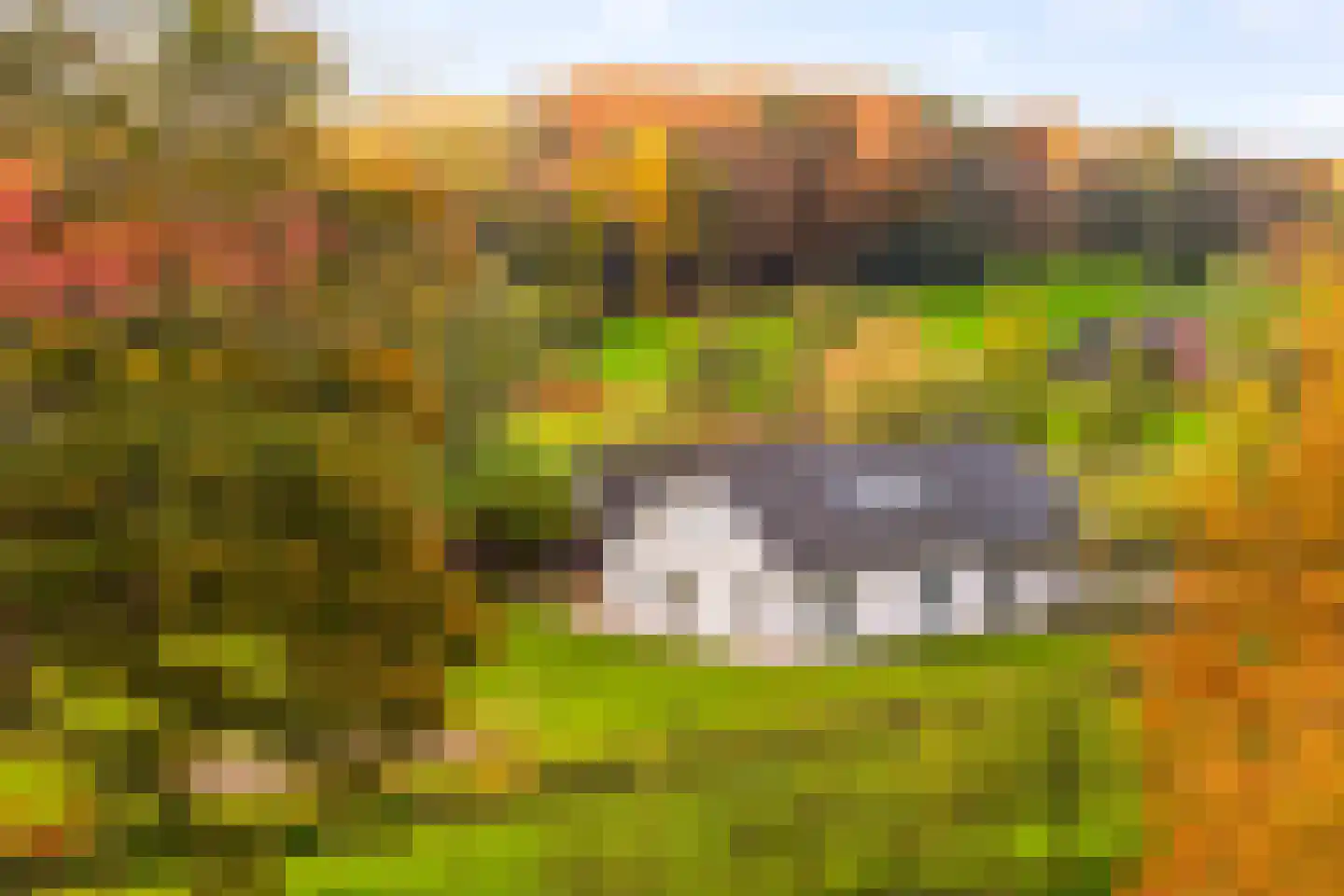 Hoevesteeg 34 Tonden thumbnail 7