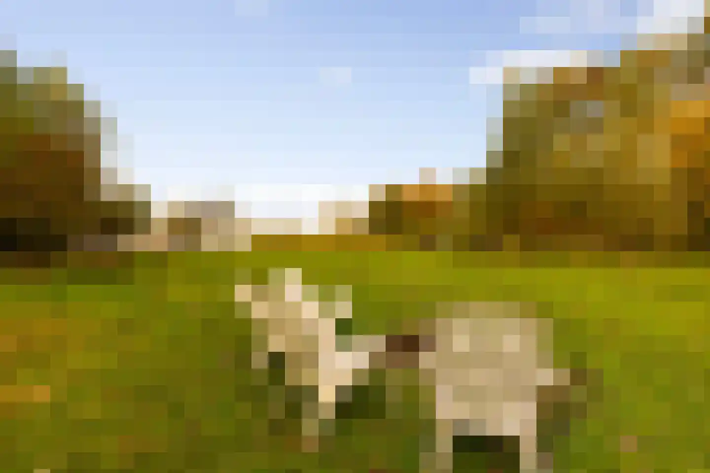 Hoevesteeg 34 Tonden thumbnail 73