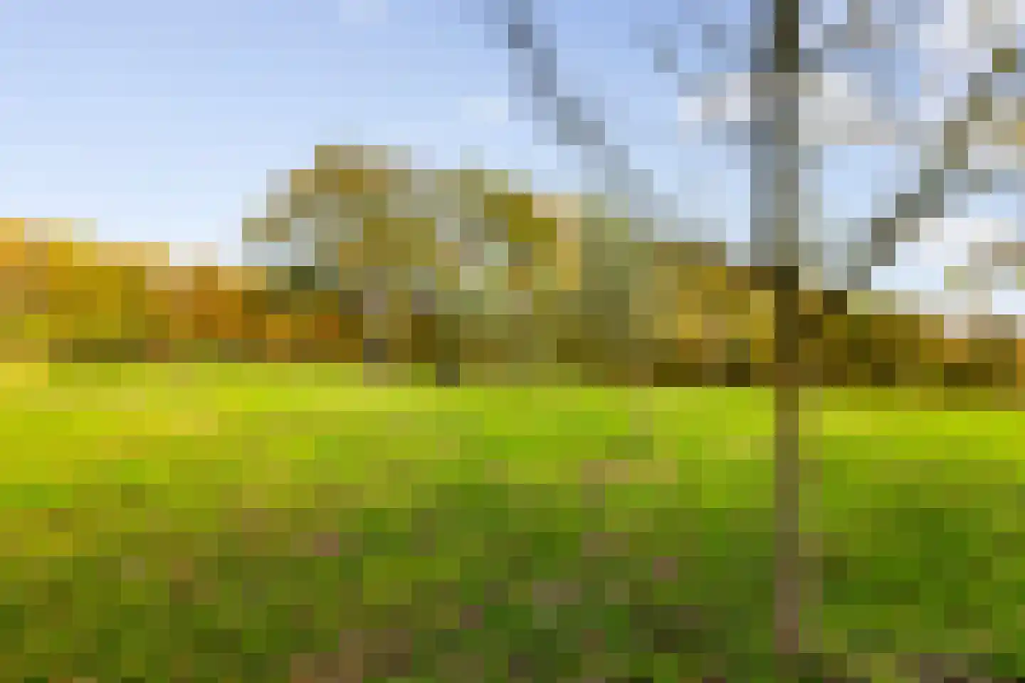Hoevesteeg 34 Tonden thumbnail 74