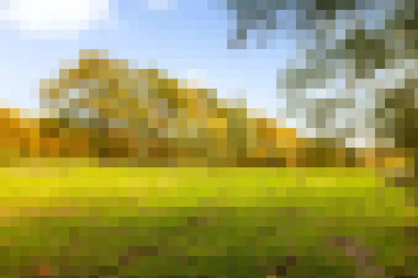 Hoevesteeg 34 Tonden thumbnail 75