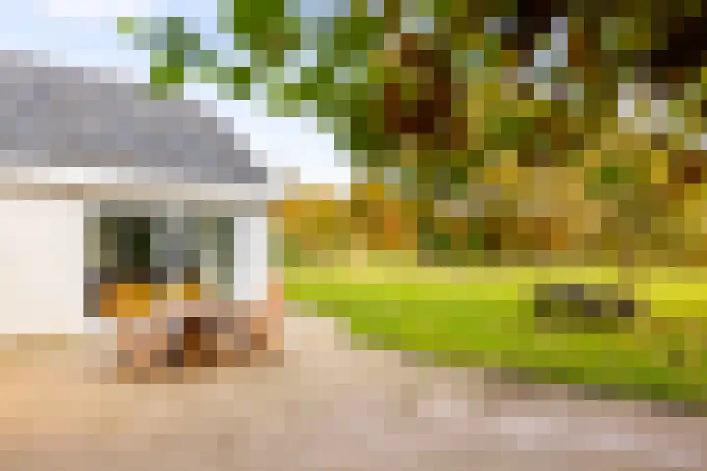 Hoevesteeg 34 Tonden thumbnail 77