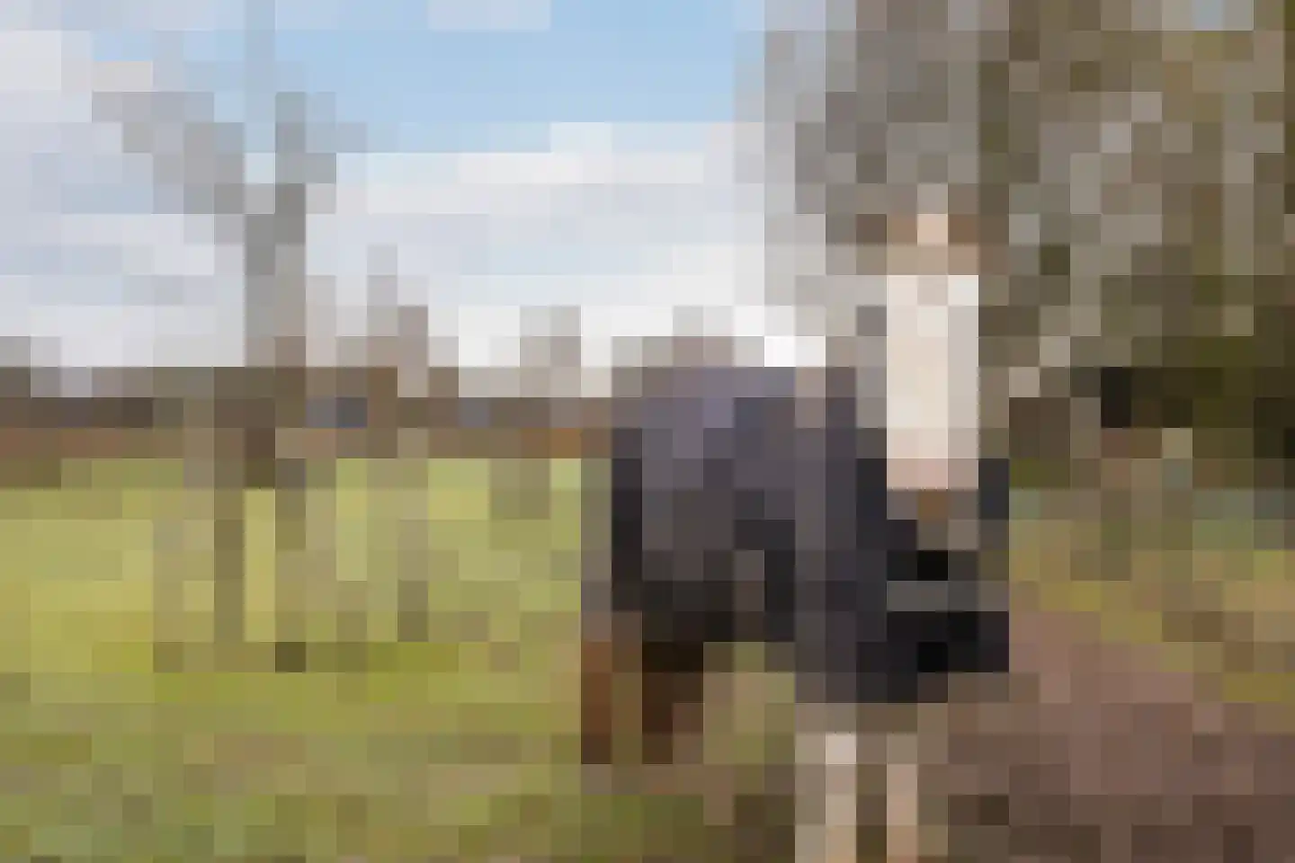 Hoevesteeg 34 Tonden thumbnail 79