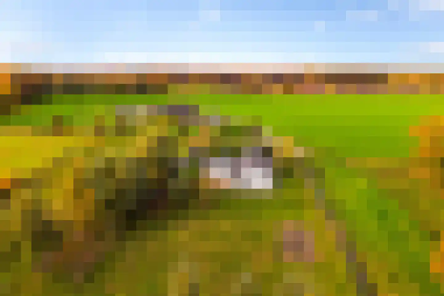 Hoevesteeg 34 Tonden thumbnail 82