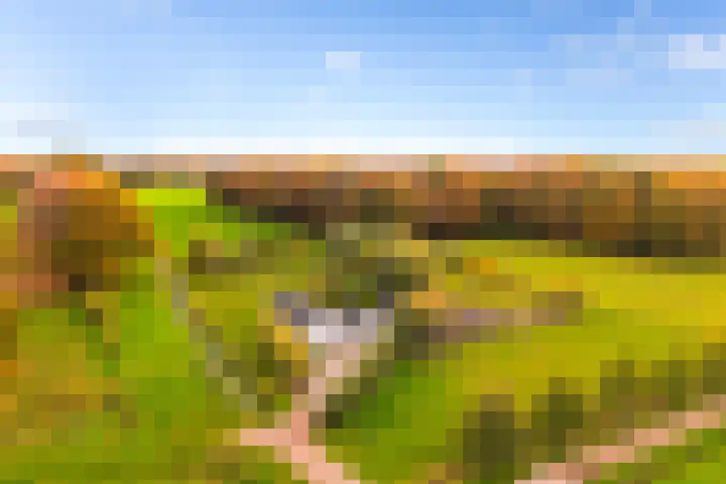 Hoevesteeg 34 Tonden thumbnail 83