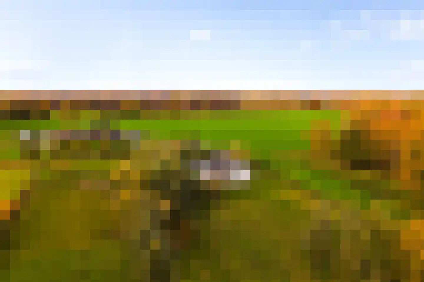 Hoevesteeg 34 Tonden thumbnail 84