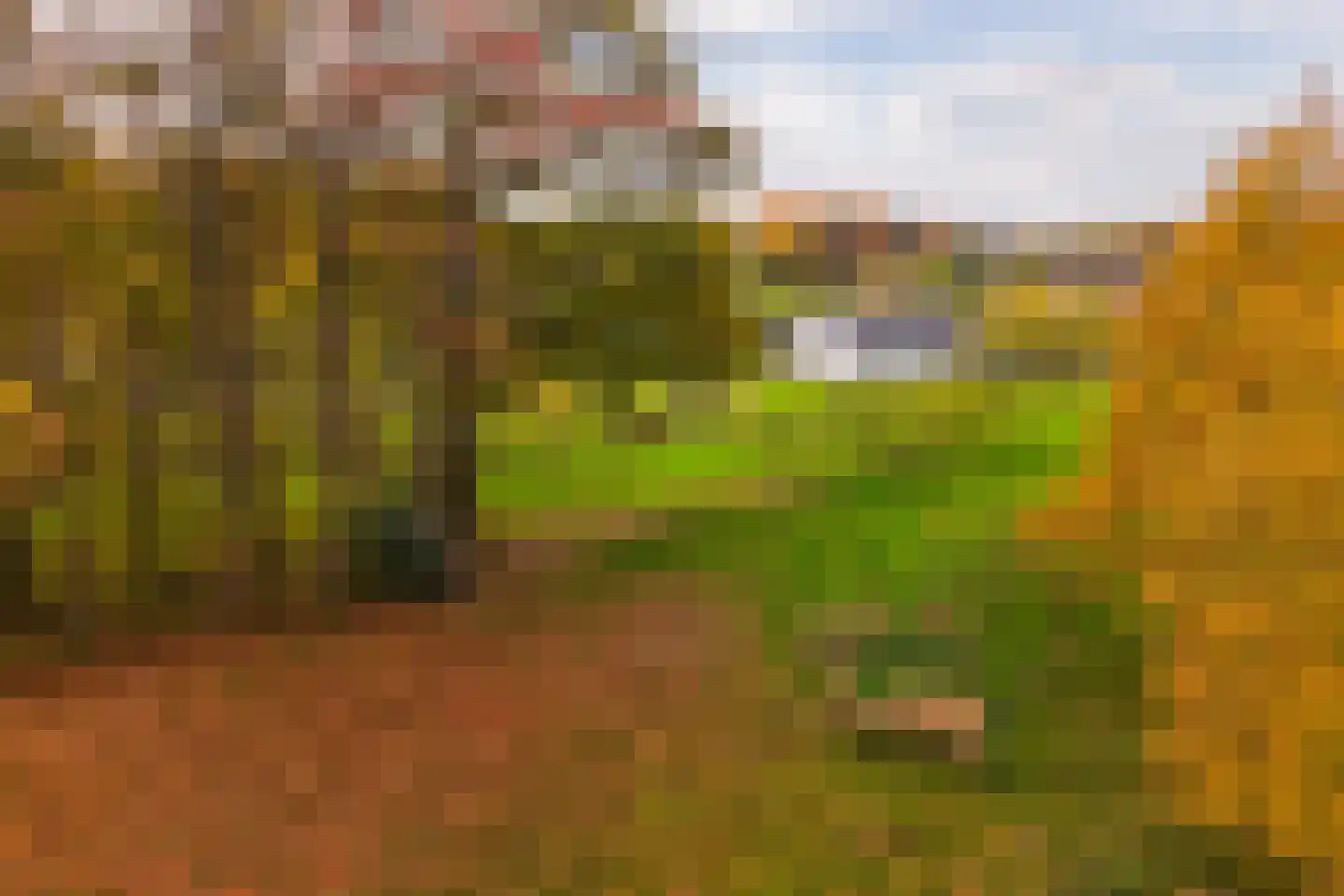 Hoevesteeg 34 Tonden thumbnail 85