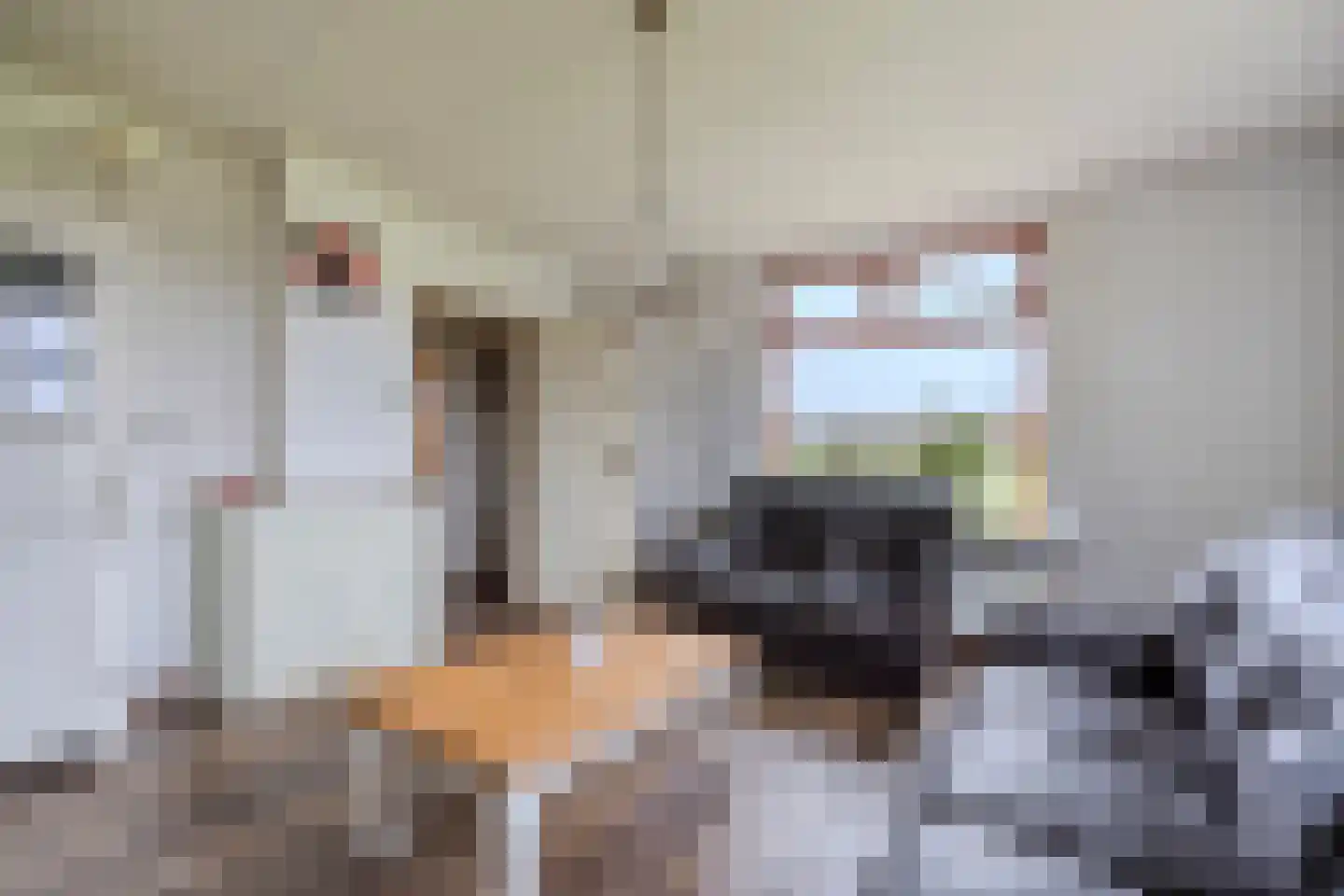 Hoevesteeg 44 Tonden thumbnail 10