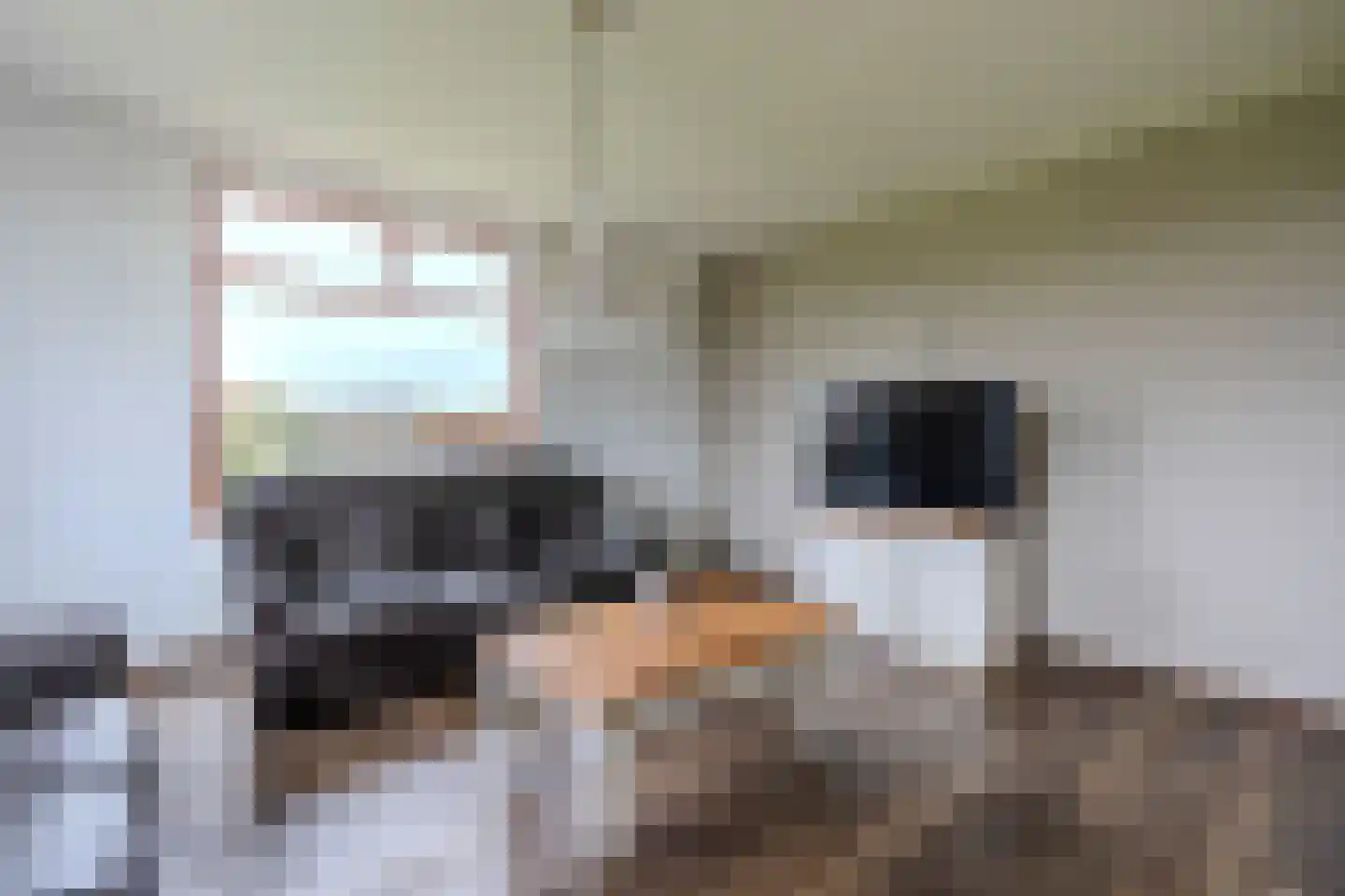 Hoevesteeg 44 Tonden thumbnail 11