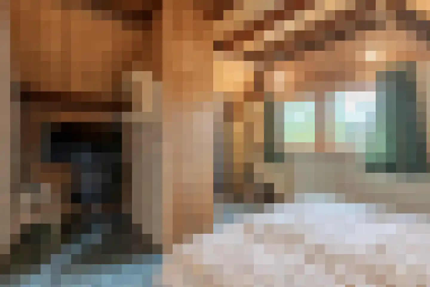 Hoevesteeg 44 Tonden thumbnail 43