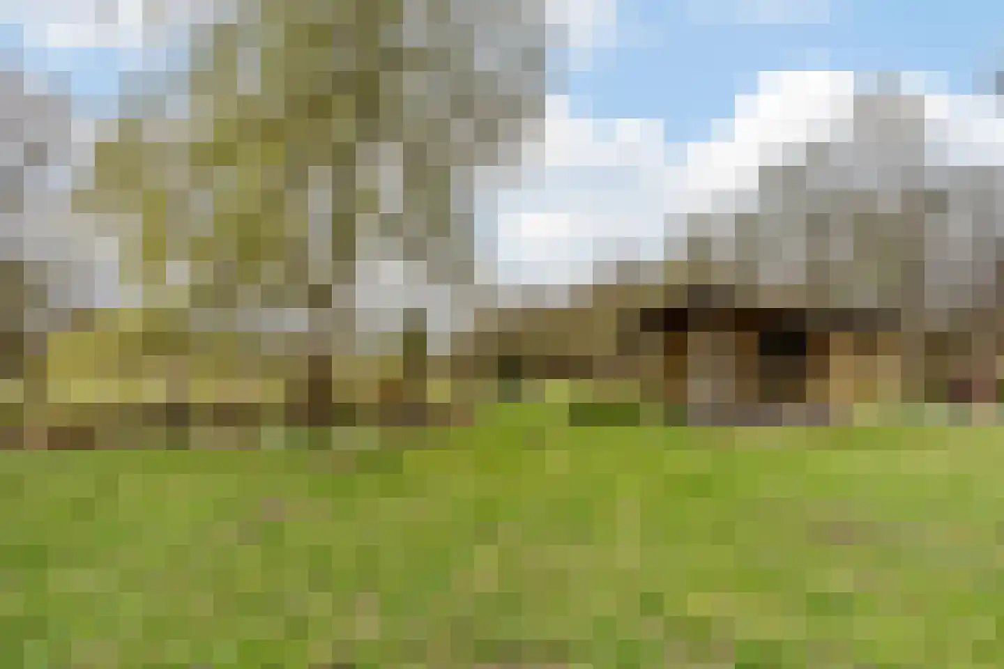 Hoevesteeg 44 Tonden thumbnail 47