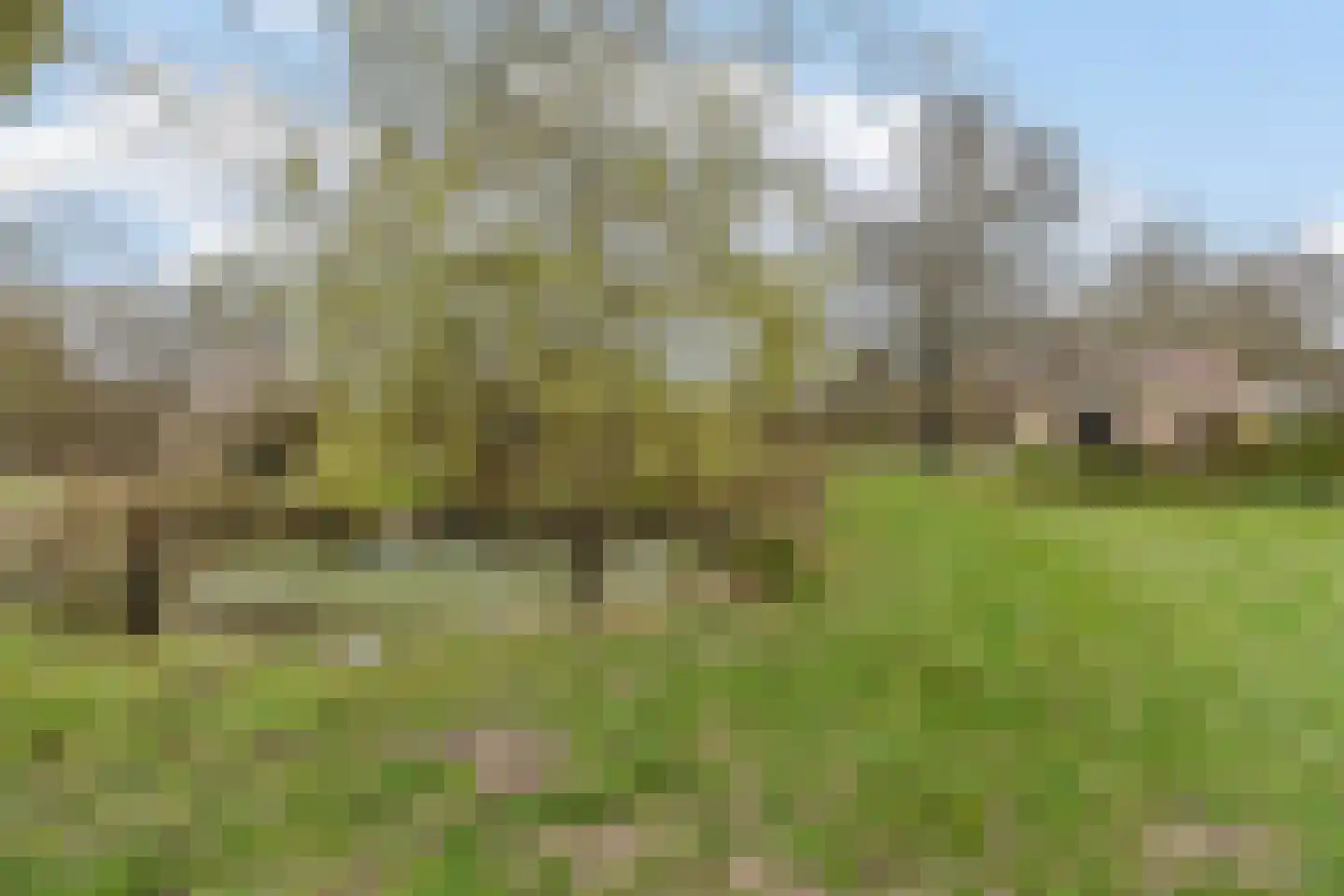 Hoevesteeg 44 Tonden thumbnail 48