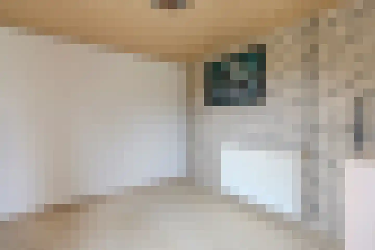 Hoevesteeg 44 Tonden thumbnail 53