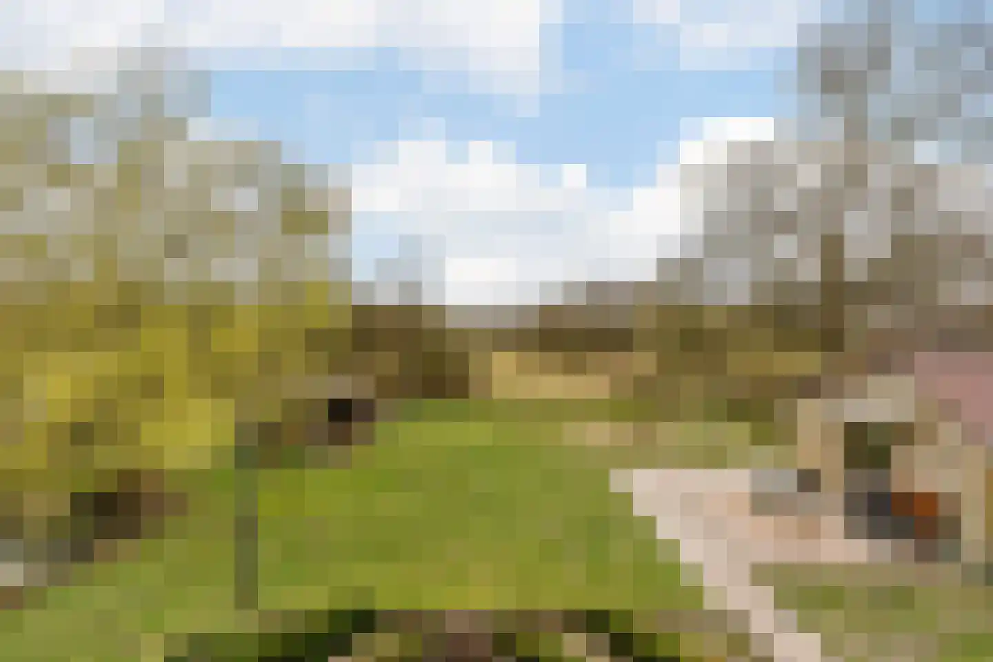Hoevesteeg 44 Tonden thumbnail 57