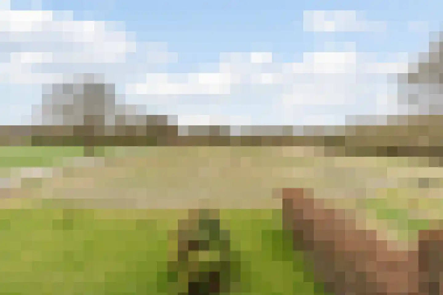 Hoevesteeg 44 Tonden thumbnail 58