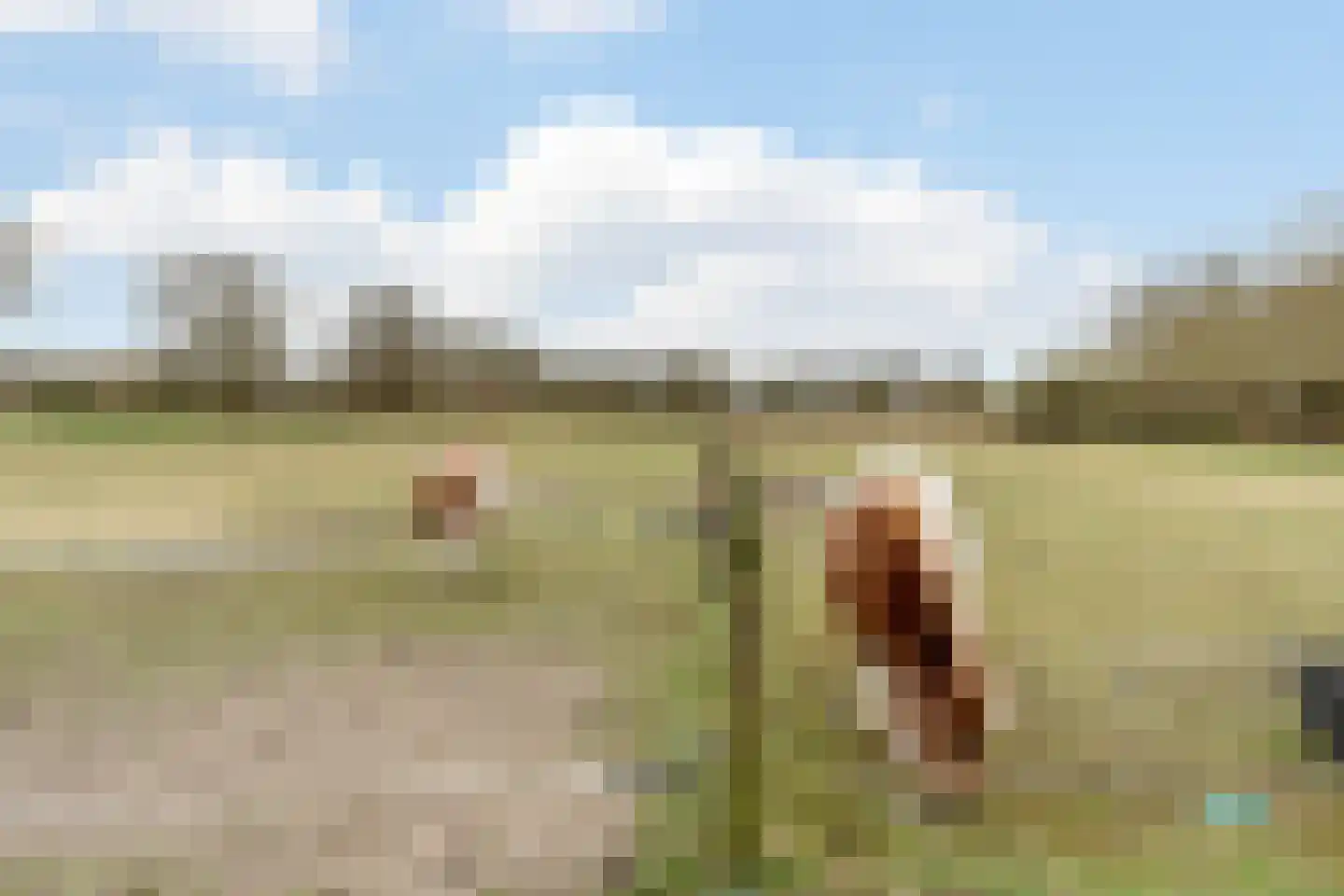 Hoevesteeg 44 Tonden thumbnail 59
