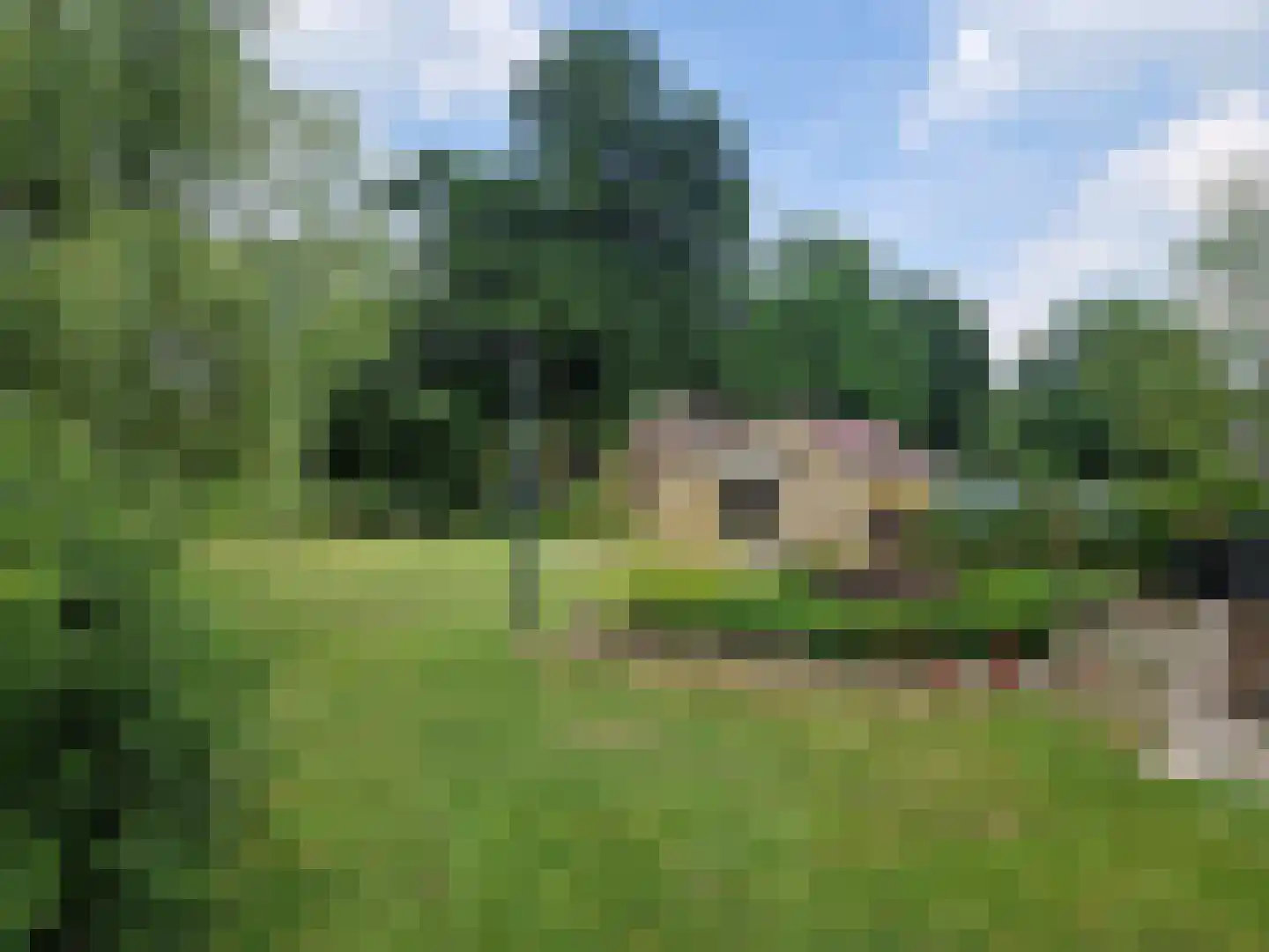 Hoevesteeg 44 Tonden thumbnail 6