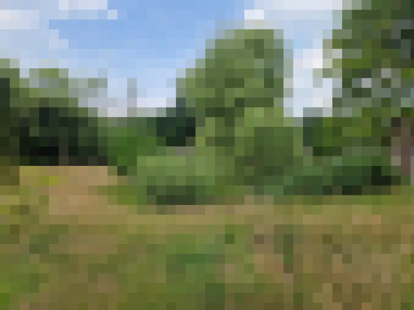 Hoevesteeg 44 Tonden thumbnail 7