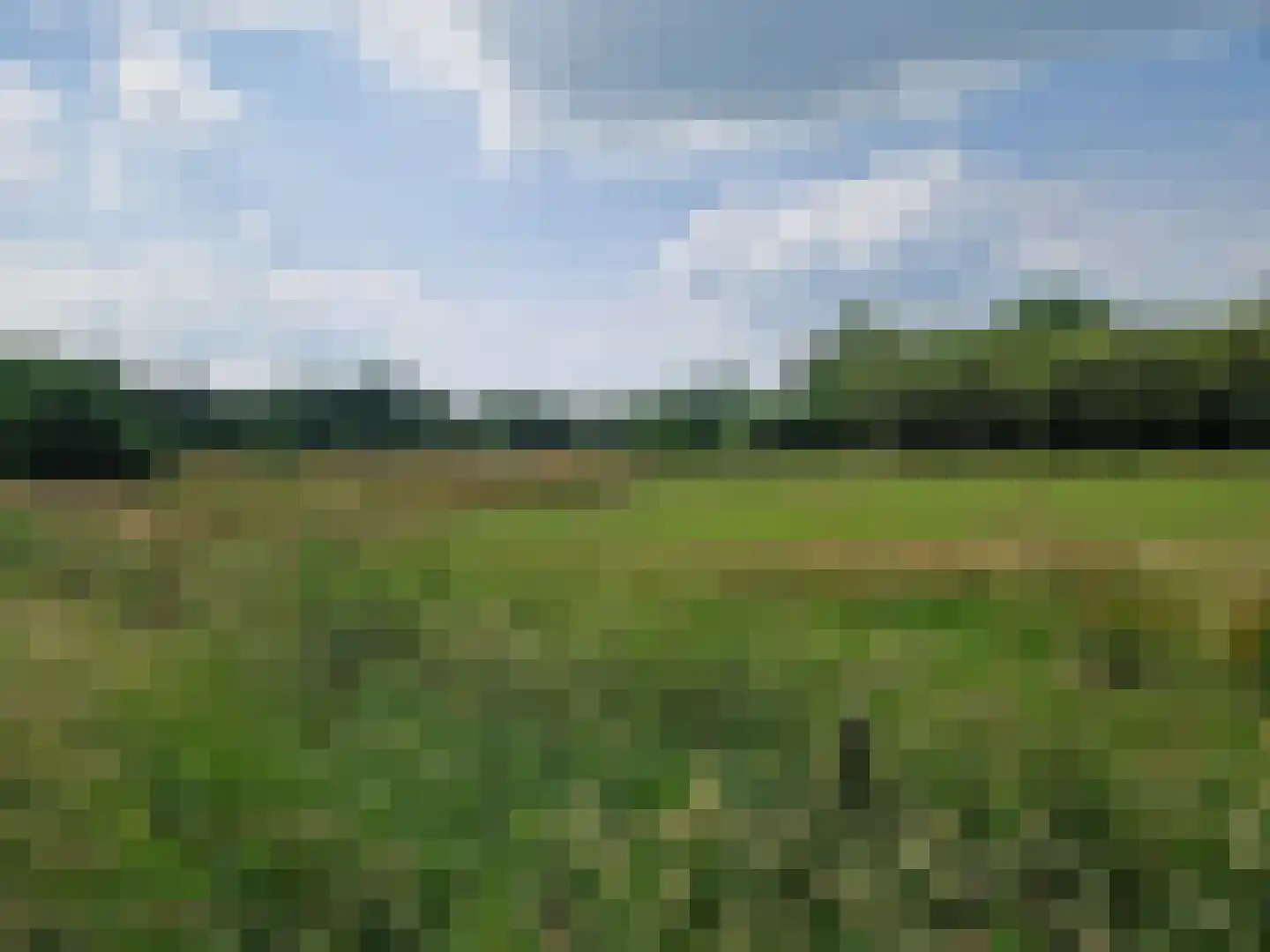 Hoevesteeg 44 Tonden thumbnail 8