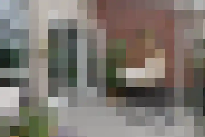 Hoevesteinse Lint 1 d Hoef en Haag thumbnail 10