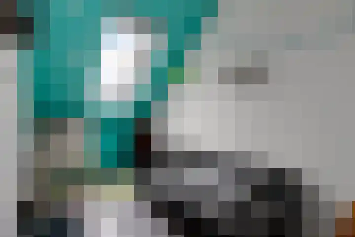 Hoevesteinse Lint 1 d Hoef en Haag thumbnail 16
