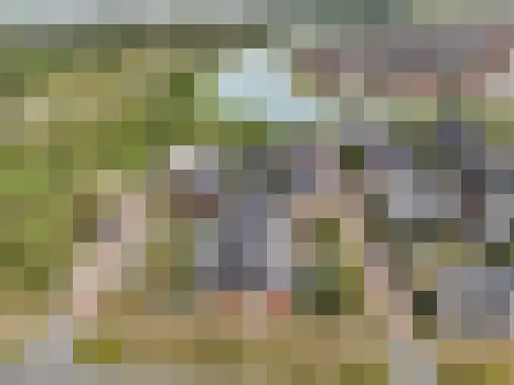 Hoevesteinse Lint 1 d Hoef en Haag thumbnail 20