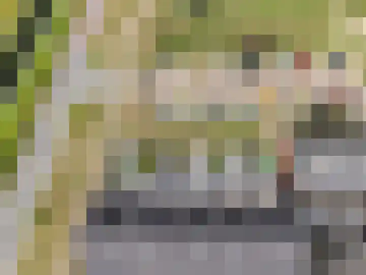 Hoevesteinse Lint 1 d Hoef en Haag thumbnail 24