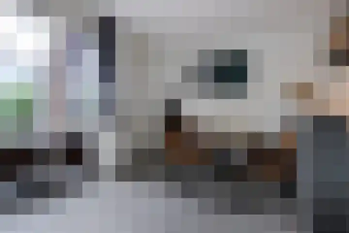 Hoevesteinse Lint 1 d Hoef en Haag thumbnail 6